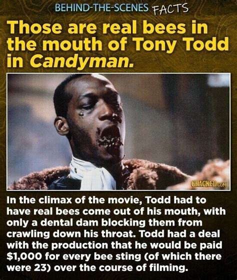 30 Behind-the-Scenes Horror Facts That Aren’t All That Scary | Cracked.com