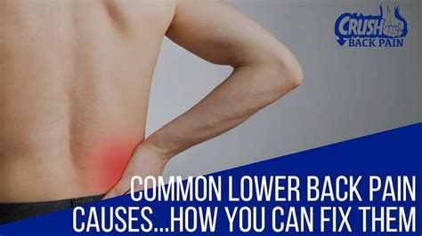 How You Can Fix Common Lower Back Pain Causes - YouTube