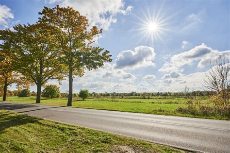 Landscape with an Avenue and Colorful Autumn Trees Stock Photo - Image of plant, meadow: 199496562