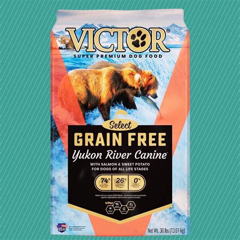 Top Grain-Free Dog Food Brands To Spoil Your Pup with the Best.