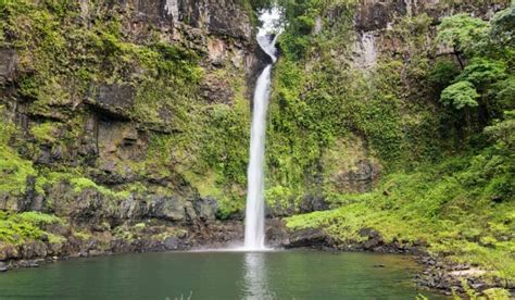 10 Best Waterfalls Near Cairns For A Scenic Day Trip