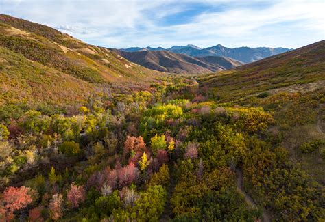 East Canyon MoPi Trail Fall Colors - Michael Bradshaw