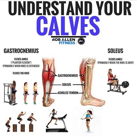 Achieve Diamond Shaped Calves With These 4 Useful Calf Exercises ...
