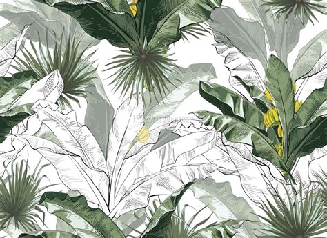 Banana Leaf Wallpapers - Wallpaper Cave