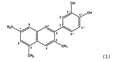 Everything You Need to Know about Adiponectin