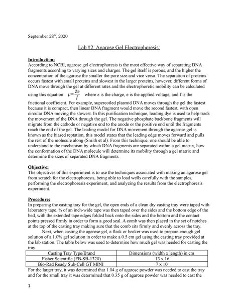Lab #2 Agarose Gel Electrophoresis - September 28th, 2020 Lab #2: Agarose Gel Electrophoresis ...