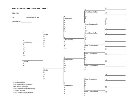 6 Generation Pedigree Chart Template