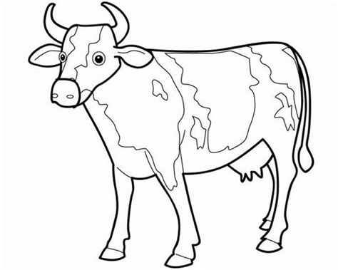 15+ Cow Drawing Outline | Cow drawing, Cow coloring pages, Animal drawings