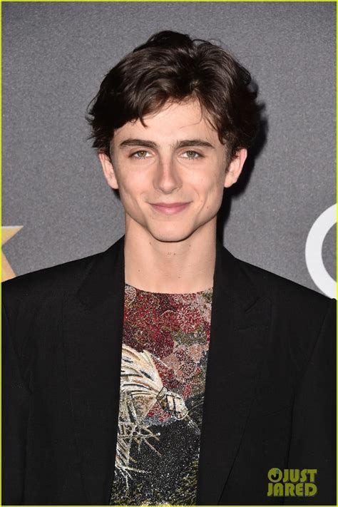 Photo: timothee chalamet armie hammer hollywood film awards 02 | Photo 4175629 | Just Jared