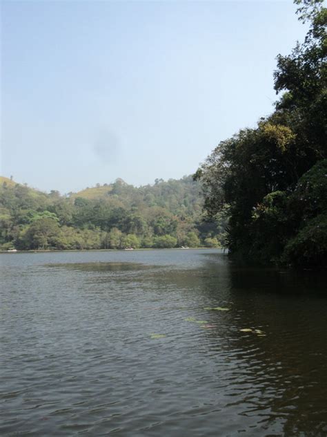 Pookode Lake, wayanad, India - Top Attractions, Things to Do & Activities in Pookode Lake