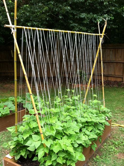 15 Easy DIY Cucumber Trellis Ideas - A Piece Of Rainbow