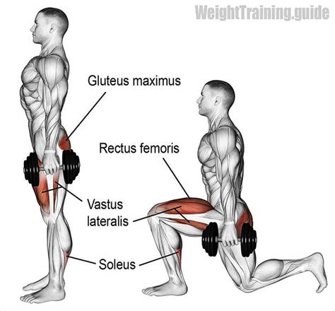 Reverse lunge. Targets your quadriceps (rectus femoris, vastus lateralis, vastus medialis, and v ...