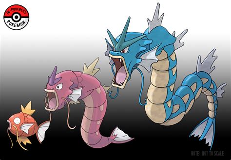 In-Progress Pokemon Evolutions | #129.5 - Magikarp can be found in any ...