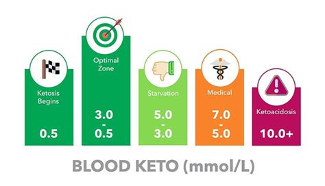 Amazon.com: Ketone Breath Analyzer for ketosis Testing in ketogenic Paleo Atkins Diet KetoXpert ...