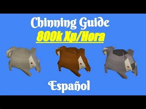 [OSRS] Chinning Guide (Español) | 800k Range XP/Hr | Monkey Madness 2 - YouTube