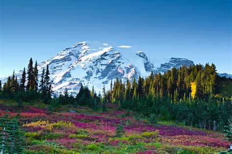 Mount Rainier 4K Wallpapers - Top Free Mount Rainier 4K Backgrounds ...