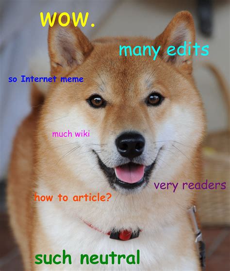 Doge (mème) — Wikipédia