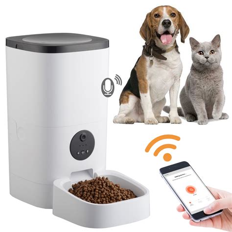 10 Best Dog Food Feeders that Will Keep Your Furry Friend Happy, Fed and Healthy - Furry Folly