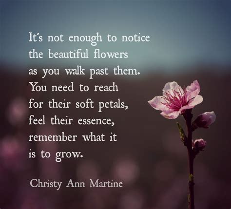 Nature quotes - Appreciation poems - quote - flowers - gratitude - life - Christy Ann Martine ...