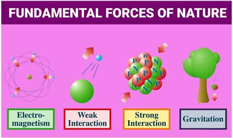 Gravitational Force | Facts, Information, History & Definition