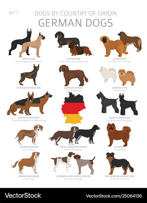 Dogs country origin german dog breeds Royalty Free Vector