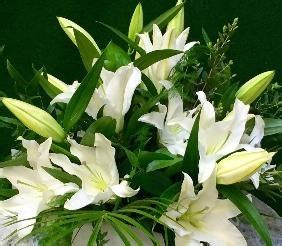 Oriental Lily Bouquet white – buy online or call 01458 442845