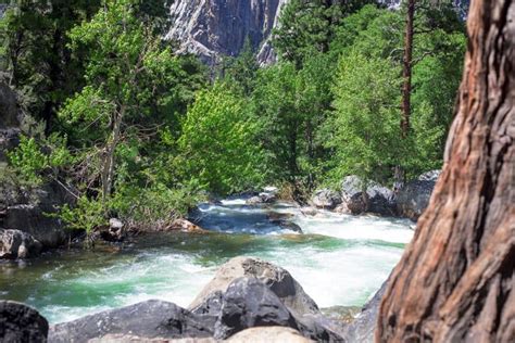 10+ Things to do in Kings Canyon National Park