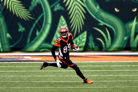 Bengals WR Tee Higgins closing in on rookie record