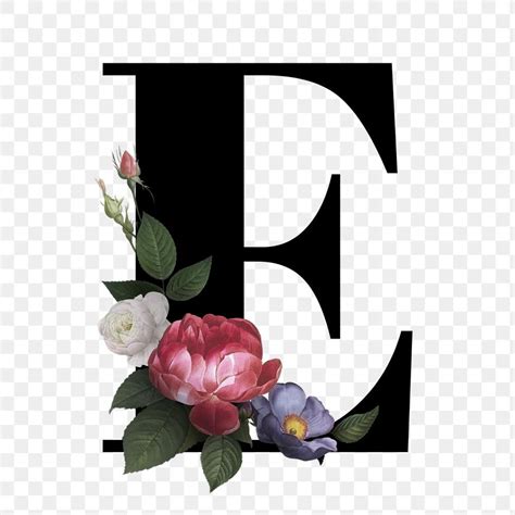 Classic and elegant floral alphabet font letter E transparent png ...