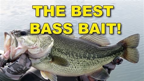 The Best Bait for Bass Fishing | How To | Bass Fishing - YouTube