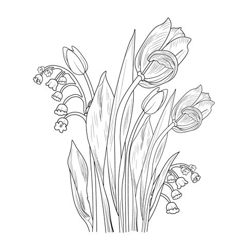 realistic tulip outline, tulip drawing for kids, pencil tulip drawing ...