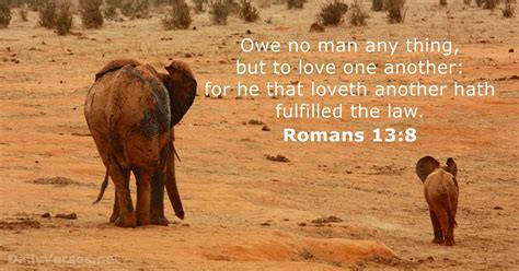 Romans 13:8 - Bible verse (KJV) - DailyVerses.net