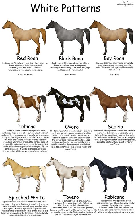 Horses, Horse breeds, Horse color chart