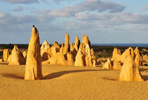 Nambung National Park (Official GANP Park Page)