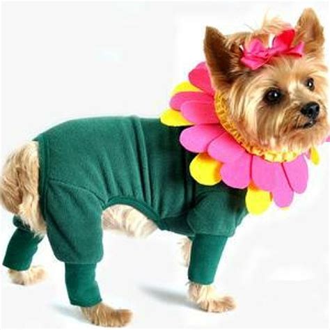 Honey Bee Dog Costume | Anit Pet at PupRwear