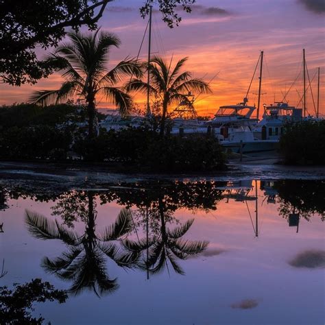 Matheson Hammock Park by Desi Drew Photography | Visit florida, Park ...