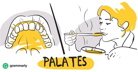 What Is Palate? | Grammarly Blog