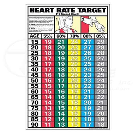 10 Second Heart Rate Fitness Chart 0CHF15B | Full Circle Padding