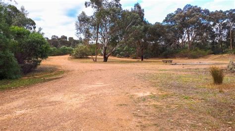 Best Free Campgrounds near Castlemaine | Goldfields Guide