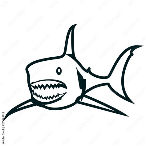 Shark line art vector illustration. Shark simple outline design Stock ...