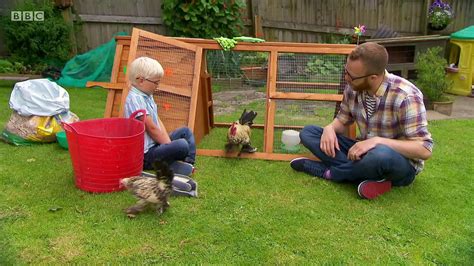 My Pet and Me . s02e05 . Cockerel . children story cartoon cBeebies - video Dailymotion