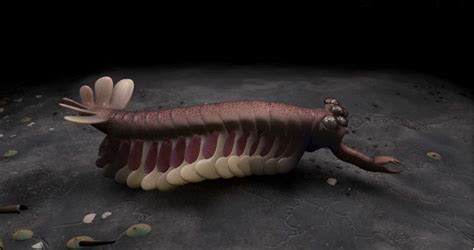 3D model of Opabinia regalis. | Shale, Sea dinosaurs, Prehistoric