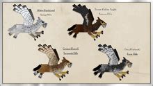 Hippogryph | Ice and Fire Mod Wiki | Fandom