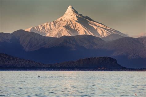 Corcovado Volcano, Chile – Wander Libre