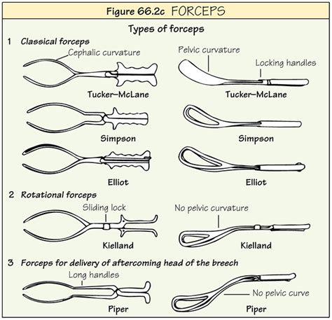 Obstetric Forceps Types