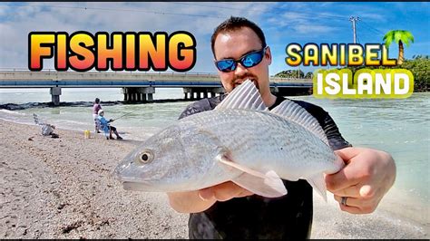 Shore Fishing Florida (Sanibel & Captiva Island) - YouTube