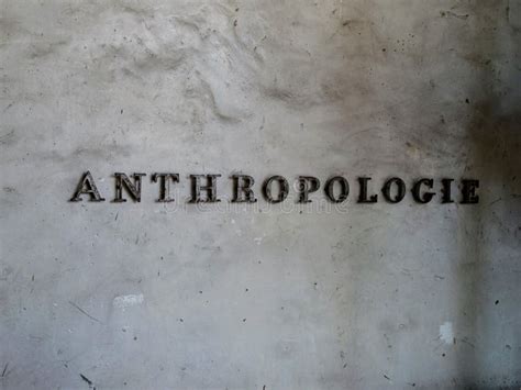 Anthropologie Logo on the Side of a Building Editorial Photography ...