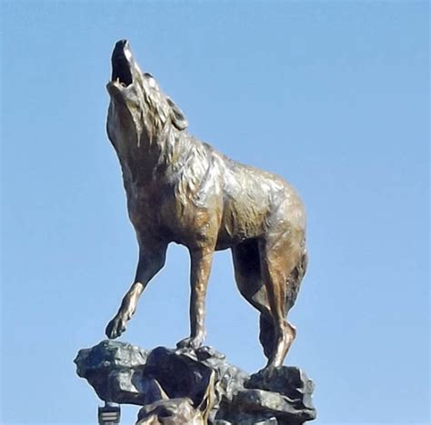 Life Size coyote bronze statue for outdoor lawn ornaments