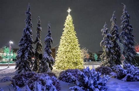 How BYU-I’s international students celebrate Christmas | BYU-Idaho Scroll