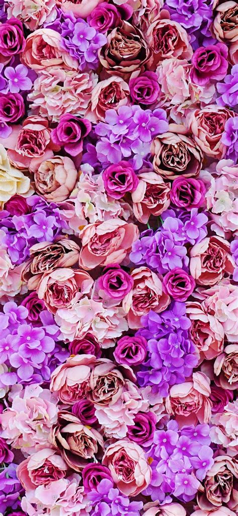 Pink and Purple Flower Wallpapers - Top Free Pink and Purple Flower Backgrounds - WallpaperAccess